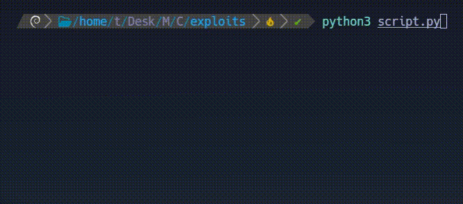 python_script.gif